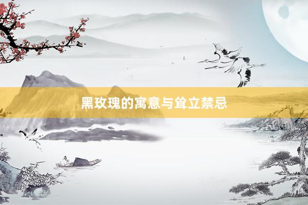黑玫瑰的寓意与耸立禁忌