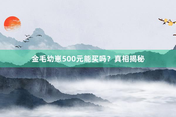 金毛幼崽500元能买吗？真相揭秘