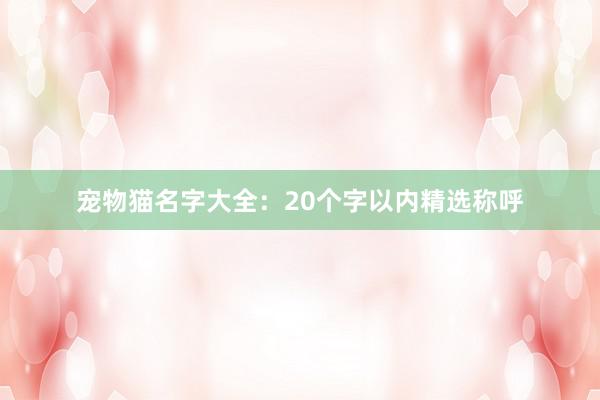 宠物猫名字大全:20个字以内精选称呼