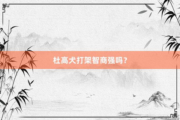 杜高犬打架智商强吗？